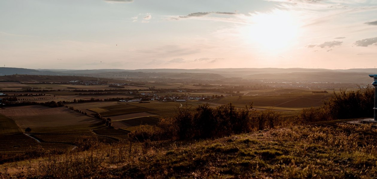 Andreas Brummund_Weinberge, &copy; Andreas Brummund - die WeinWerkstatt