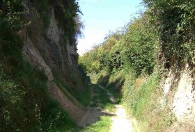 Hohlweg_1
