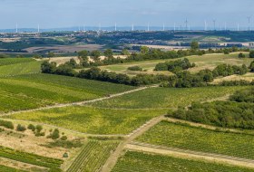 Sankt Johanner Klostergarten © Torsten Silz