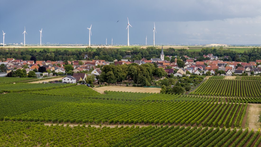 Heppenheimer Affenberg, &copy; Torsten Silz