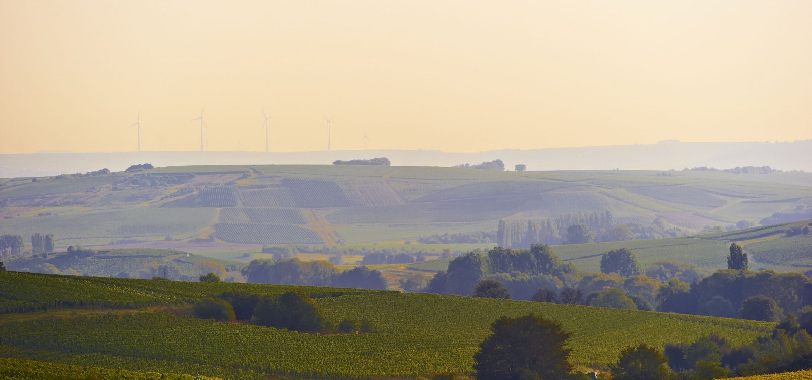 Rheinhessische Toskana Sonnenuntergang, &copy; Robert Dieth
