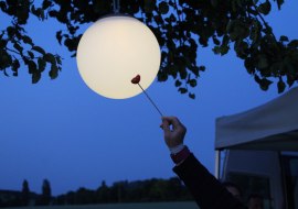 "Vollmond" in der Birnbaumreihe
