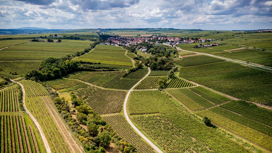 Bechtheimer Stein