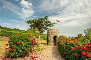 Trullo 16a, &copy; Dominik Ketz