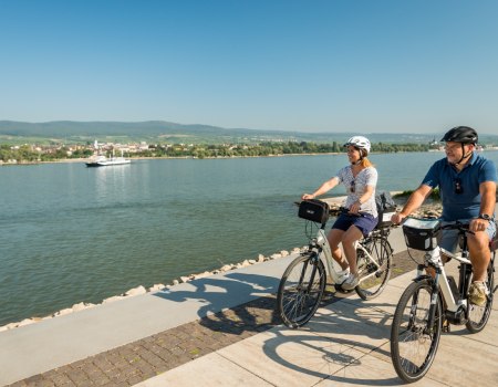 The Rhine Cycle Route in Rheinhessen, &copy; Dominik Ketz