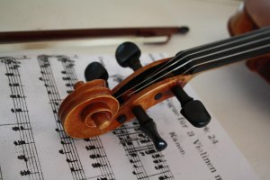 Geige, © Wolfgang Gerth auf Pixabay