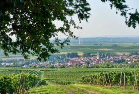 20170828_D800_9871_2000px