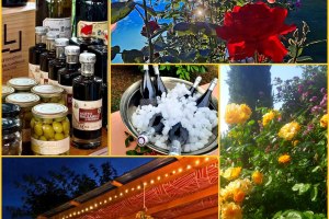 WeinWohnZimmer, &copy; WeinWohnZimmer Roland&Heiko Isselhard