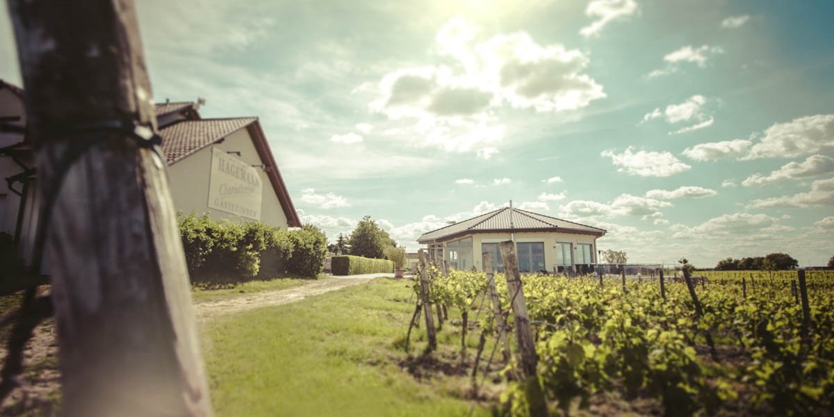 buitenkant-vinotheek-en-pension, &copy; Weingut Hagemann