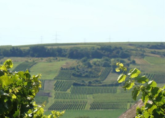 Kloppberg