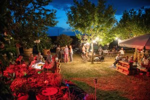 Winehattan 1, &copy; Weingut Hagemann GbR