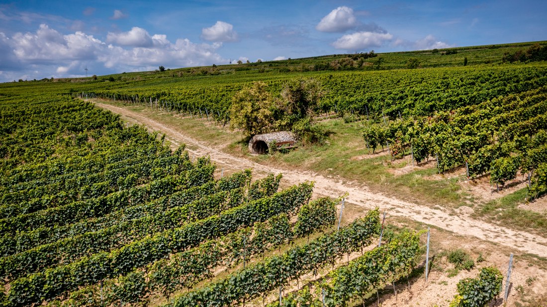 Westhofener Brunnenhäuschen