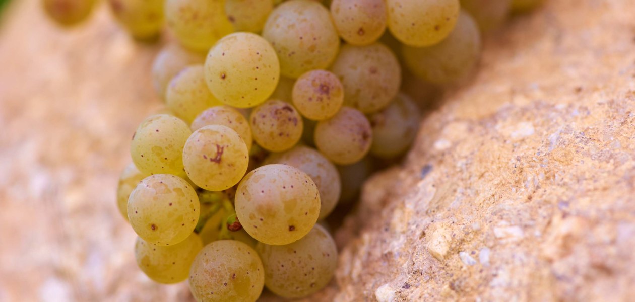 &copy; Weingut Achenbach